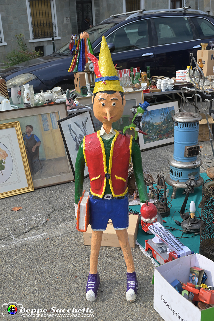 VBS_6675 - Mercatino dell'Antiquariato e dell'Hobbismo - Ottobre 2023.jpg